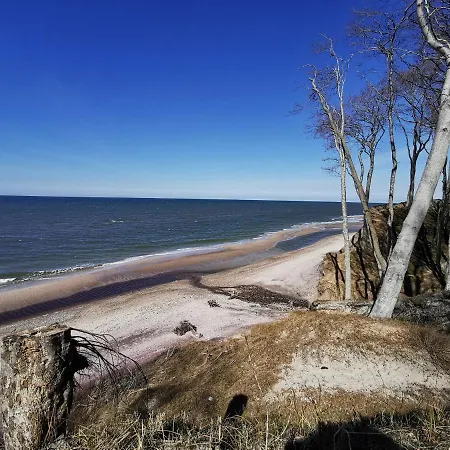 Pisakowe - Sledzik * Rowy