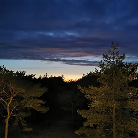 Apartman Pisakowe - Sledzik *