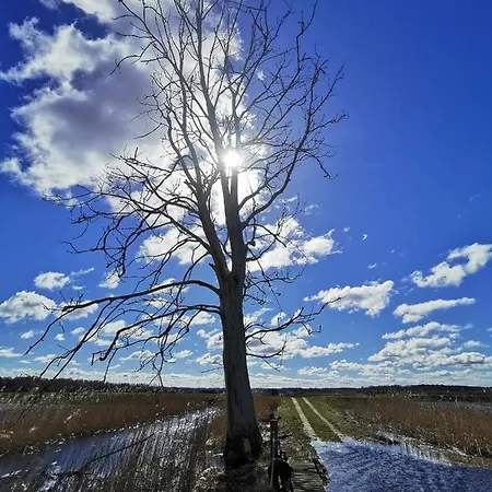 Pisakowe - Sledzik Διαμέρισμα