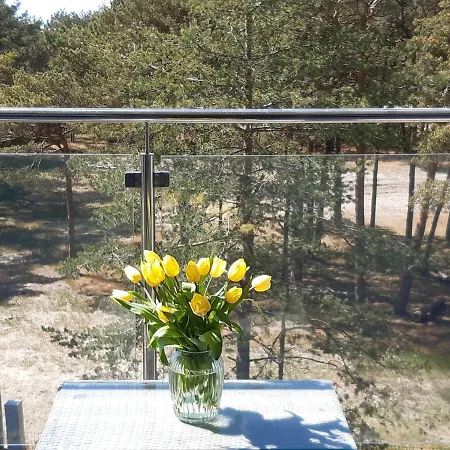 Apartman Pisakowe - Sledzik