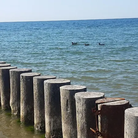 Apartman Pisakowe - Sledzik