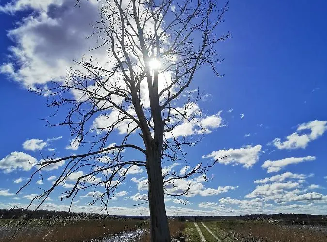 Pisakowe - Sledzik Apartamento