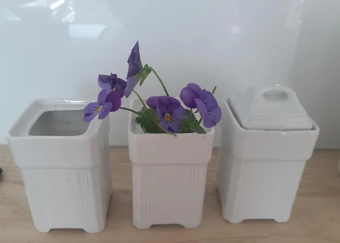 Apartamento Pisakowe - Sledzik *