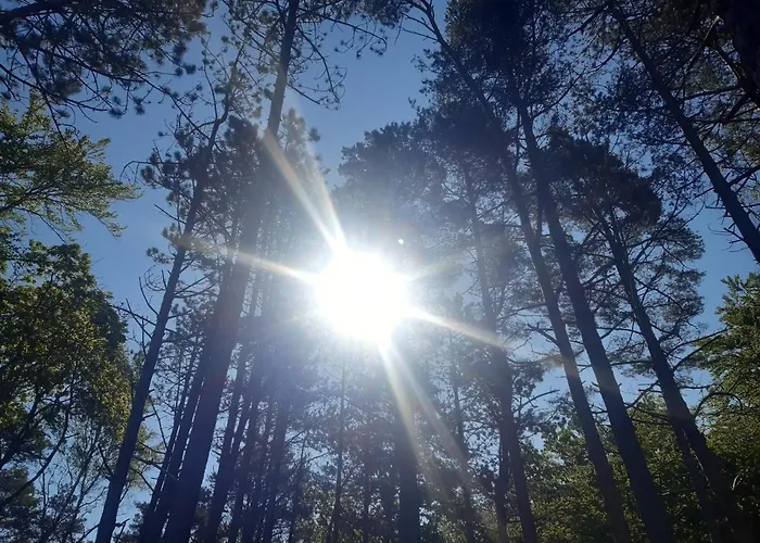 Pisakowe - Sledzik Rowy (Pomerania)