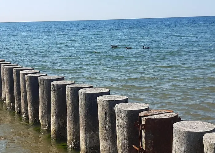 Apartamento Pisakowe - Sledzik